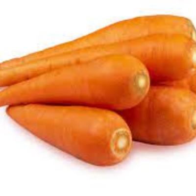 Carrot