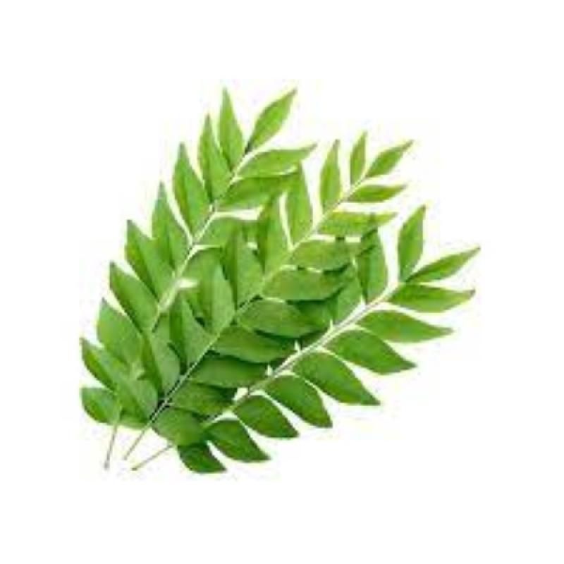 Curry Leaves