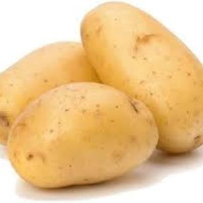 Potato